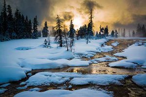 Winter Yellowstone National Park Reise