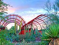 Desert Botanical  Garden, Phoenix