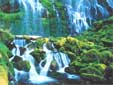 Sahalie Wasserfälle