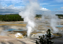 Yellowstone National Park tours